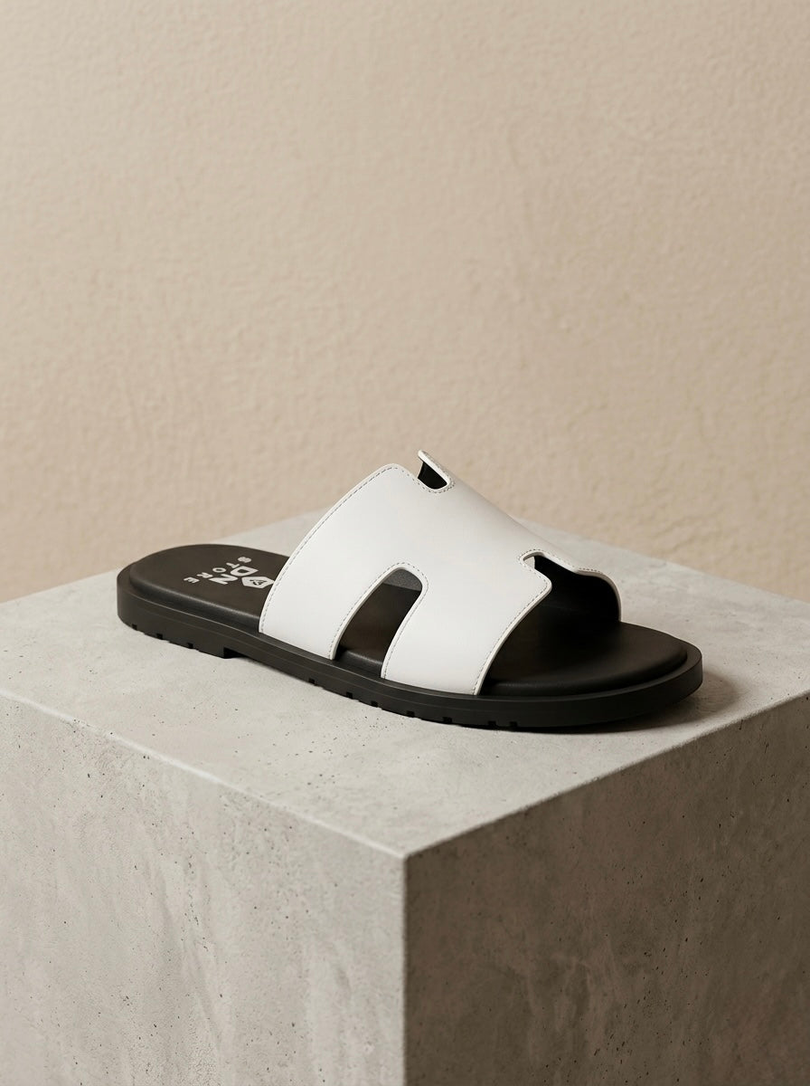 DN Monaco Slides